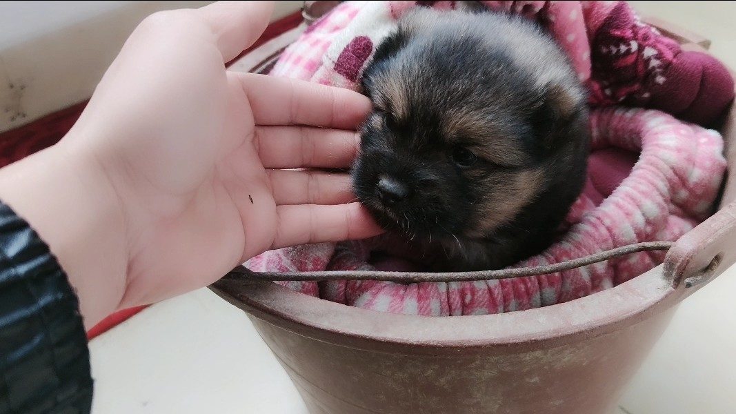 0?fmt=jpg&size=105&h=600&w=1067&ppv=1