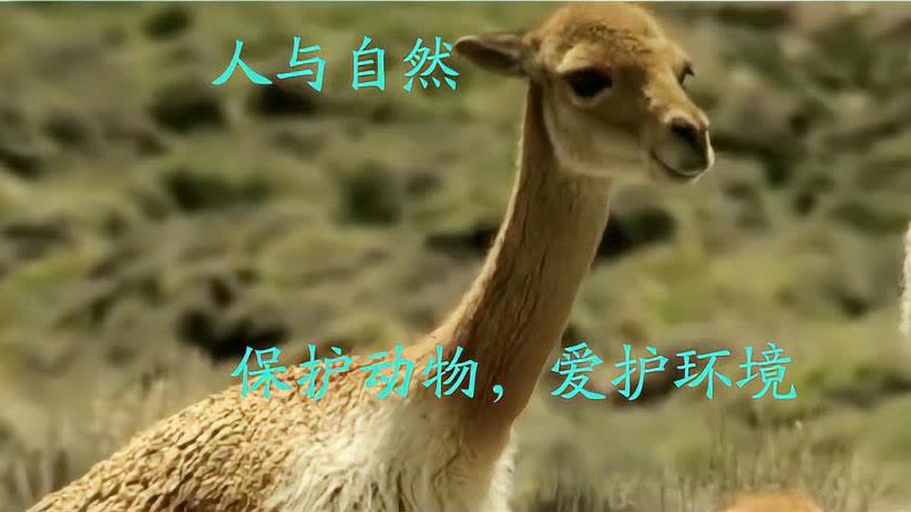 0?fmt=jpg&size=35&h=462&w=822&ppv=1