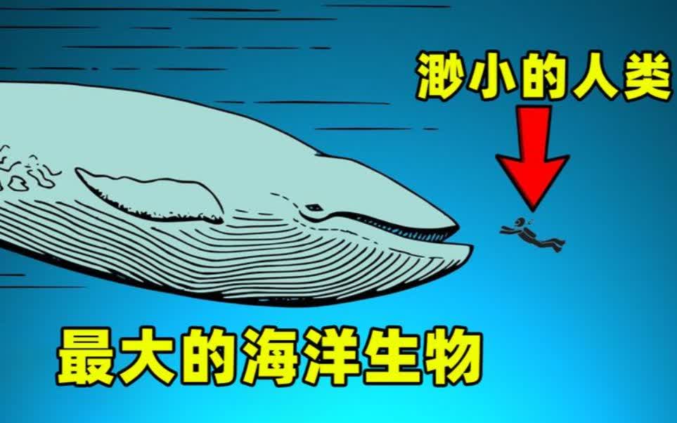 0?fmt=jpg&size=49&h=602&w=963&ppv=1