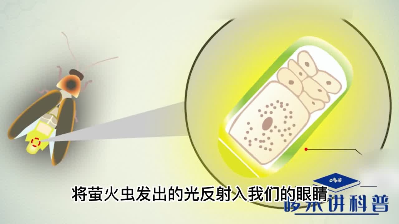 0?fmt=jpg&size=43&h=720&w=1280&ppv=1