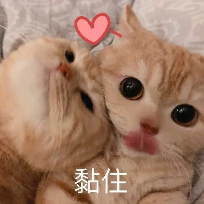表情包 刚睡醒什么事?
