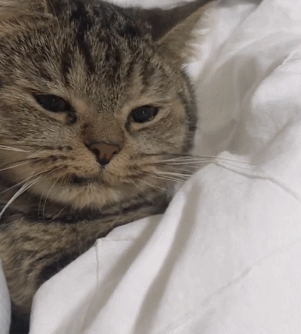 阅读全文 点赞             你的草莓西瓜爱分享爱生活 关心本