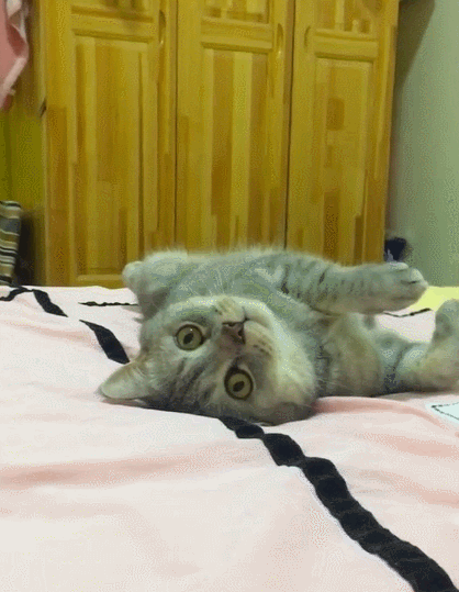 阅读全文 点赞             面朝背对爱分享爱生活 关心本