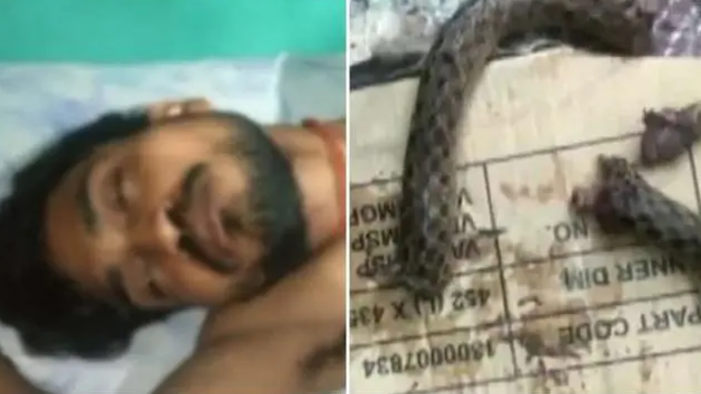 梦境解析，当晚上睡觉梦见好多蛇咬我，但我打死了它们时，这背后的深层含义是什么？