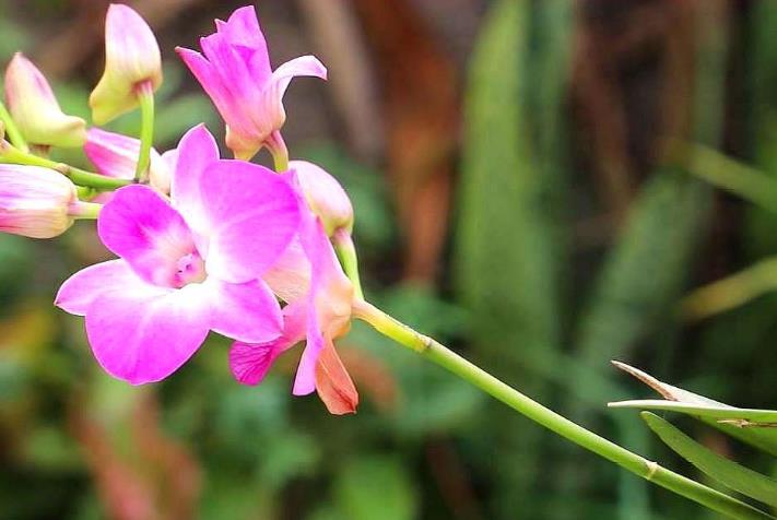 九月下旬开始 横财降临 紫气缠身 迎来运势春天的生肖 天天要闻