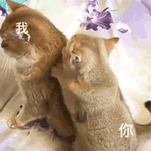 沙雕搞笑表情包:今天有点想你,其实也不止一点