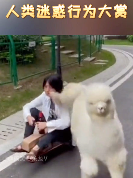 小伙睡着恶搞屁股视频，小伙睡着恶搞屁股视频大全