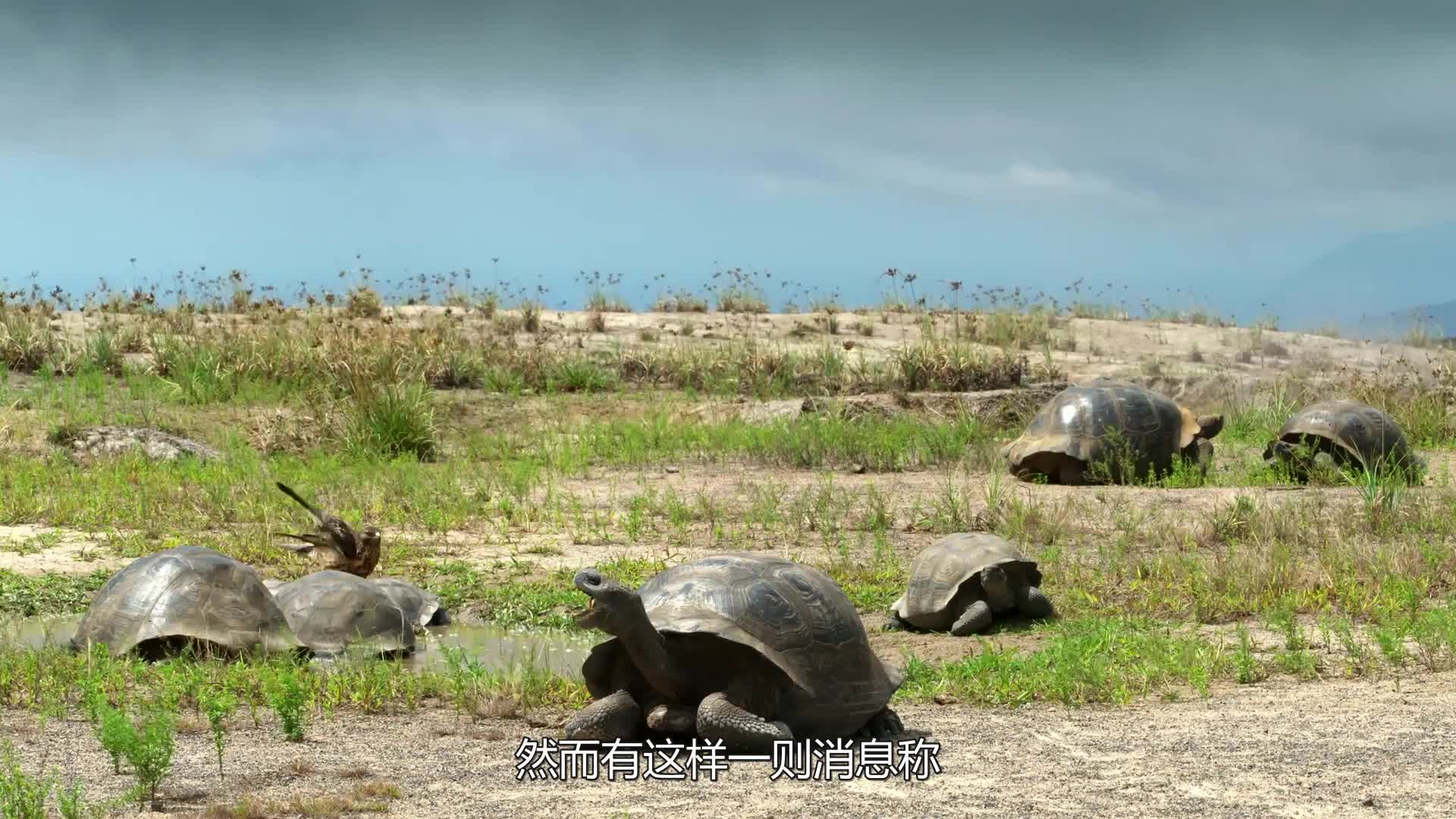 0?fmt=jpg&size=205&h=1080&w=1920&ppv=1