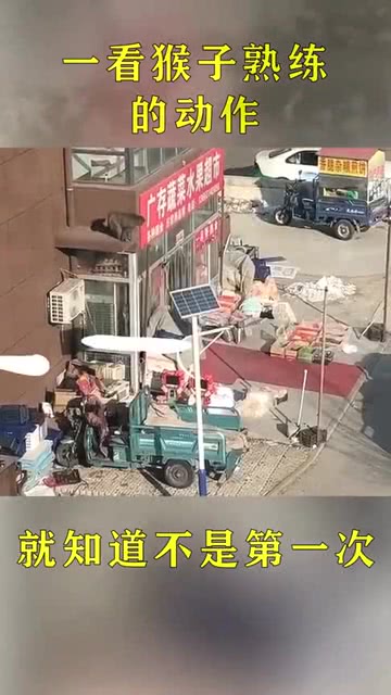 内鬼难防，偷拿公司技术后果有多严重？-第1张图片-正海烽科技 - 领先的只能推广行业，智能制造解决方案提供商