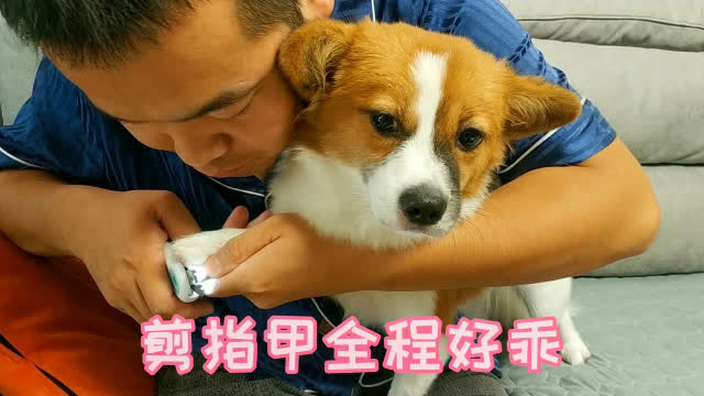 0?fmt=jpg&size=36&h=360&w=640&ppv=1