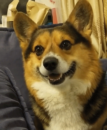 阅读全文 点赞             我是大庆,我爱分享爱搞笑.