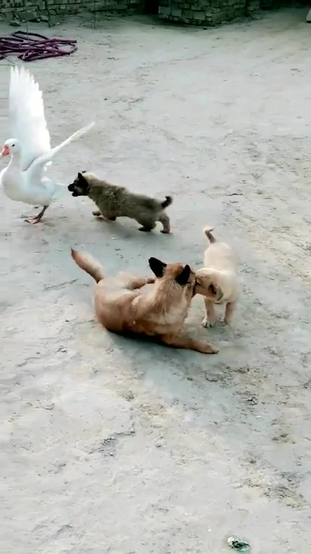 0