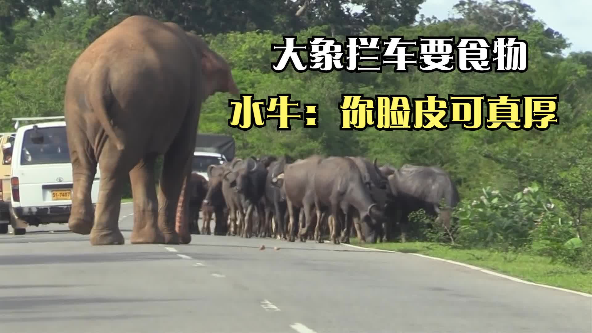 0?fmt=jpg&size=109&h=1080&w=1920&ppv=1