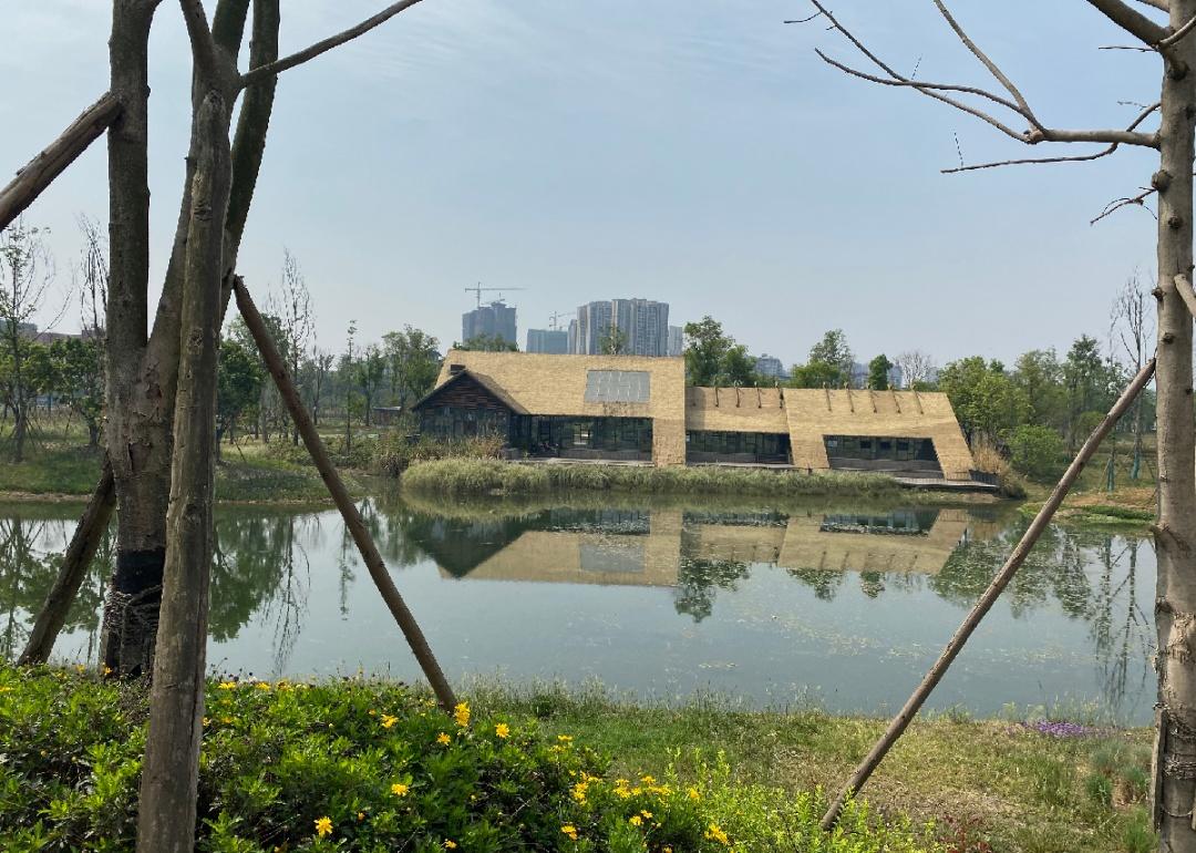 锦城公园,桂溪生态公园,青龙湖