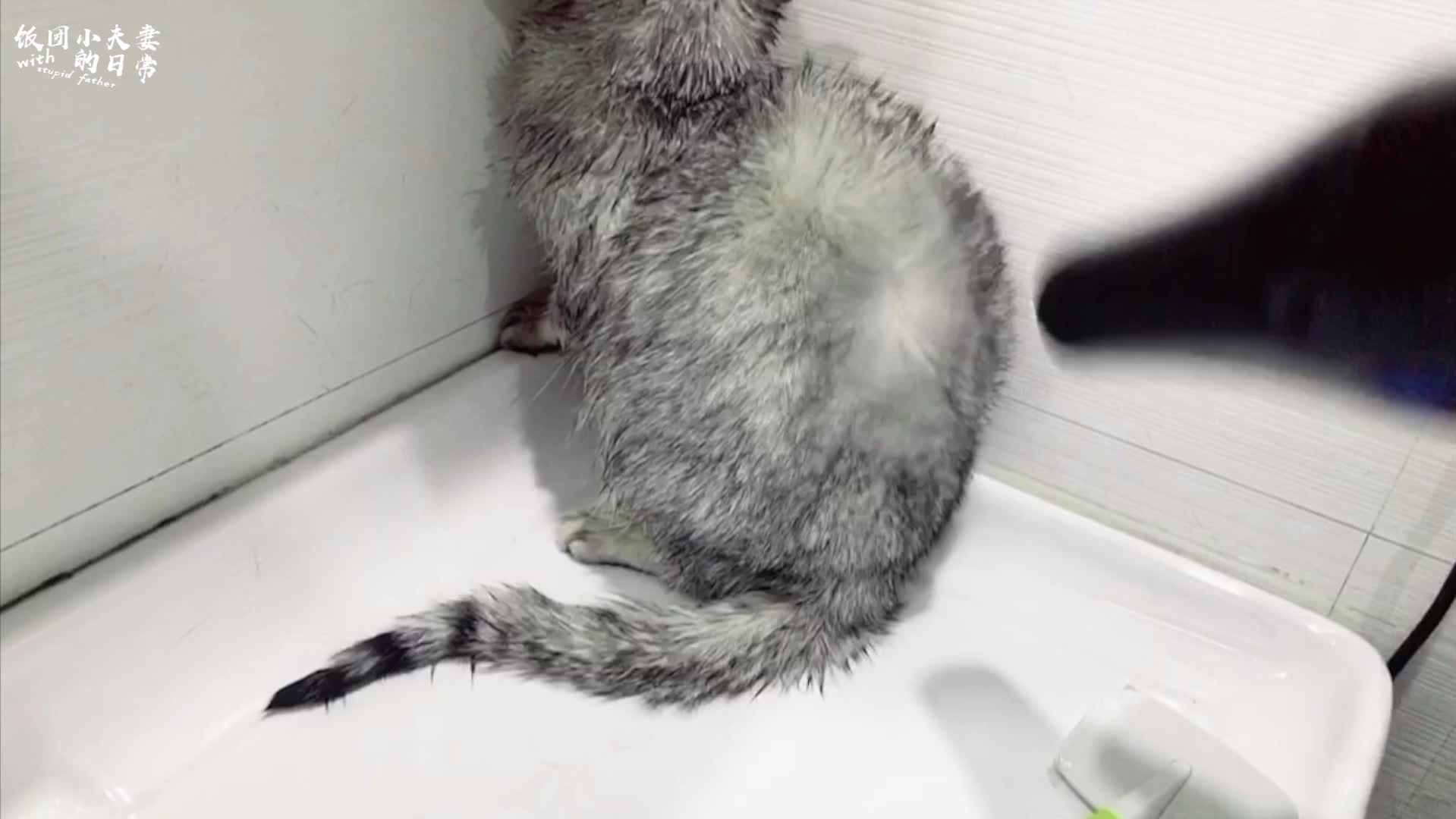 0?fmt=png&size=1656&h=1080&w=1919&ppv=1