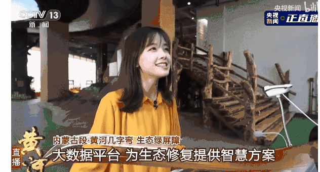 我们为什么这么迷恋王冰冰