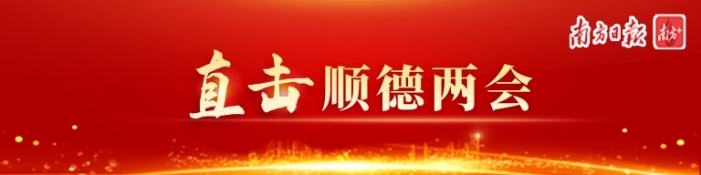 佛山市顺德区,人大