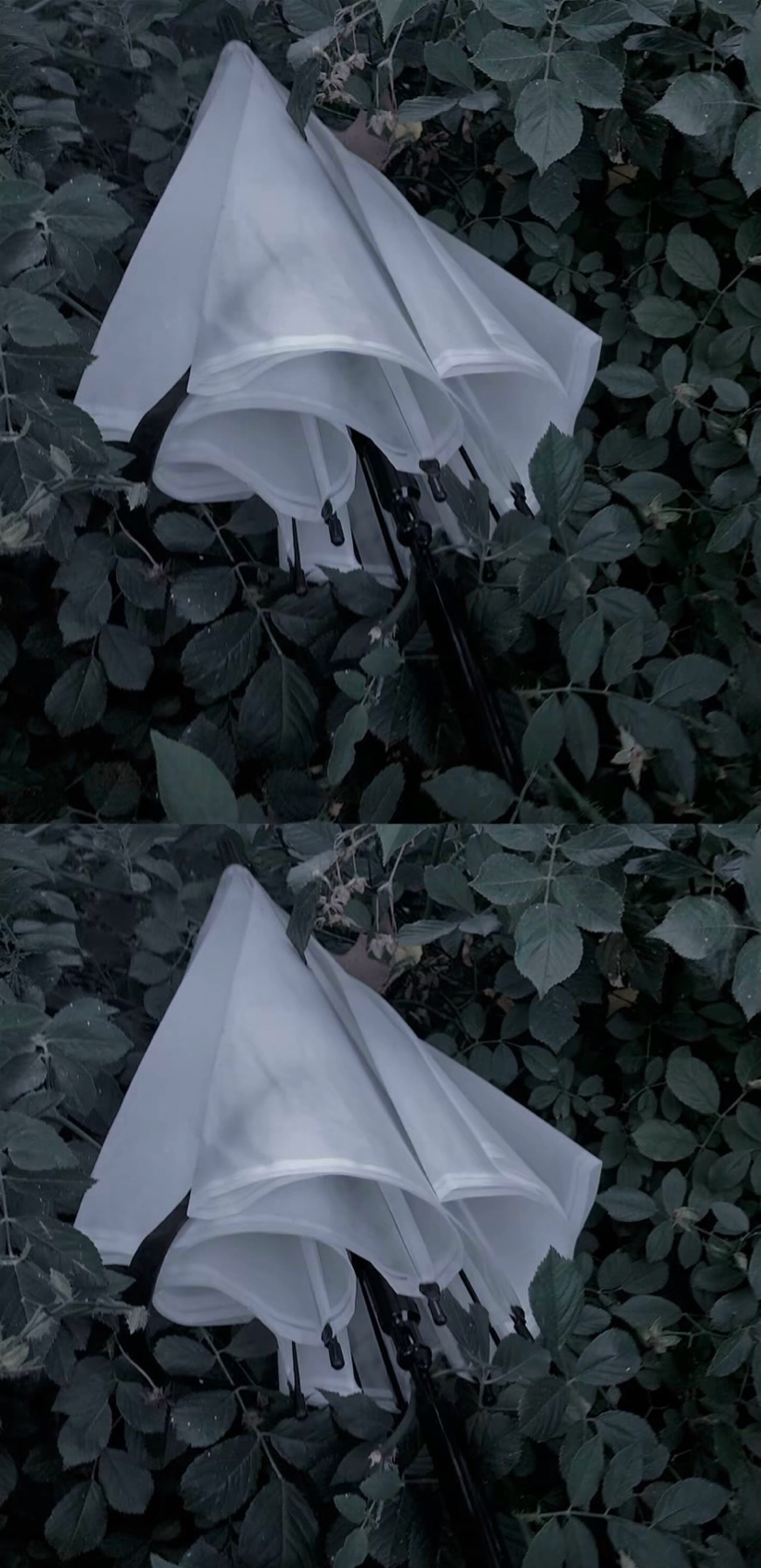 蘋果12的專屬壁紙 我等過你 是你來晚了 天天要聞