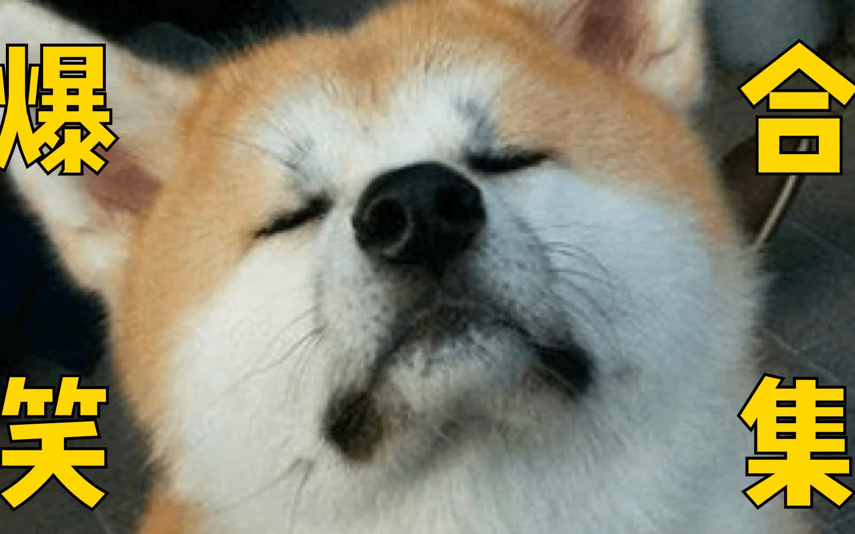 0?fmt=jpg&size=82&h=1080&w=1728&ppv=1