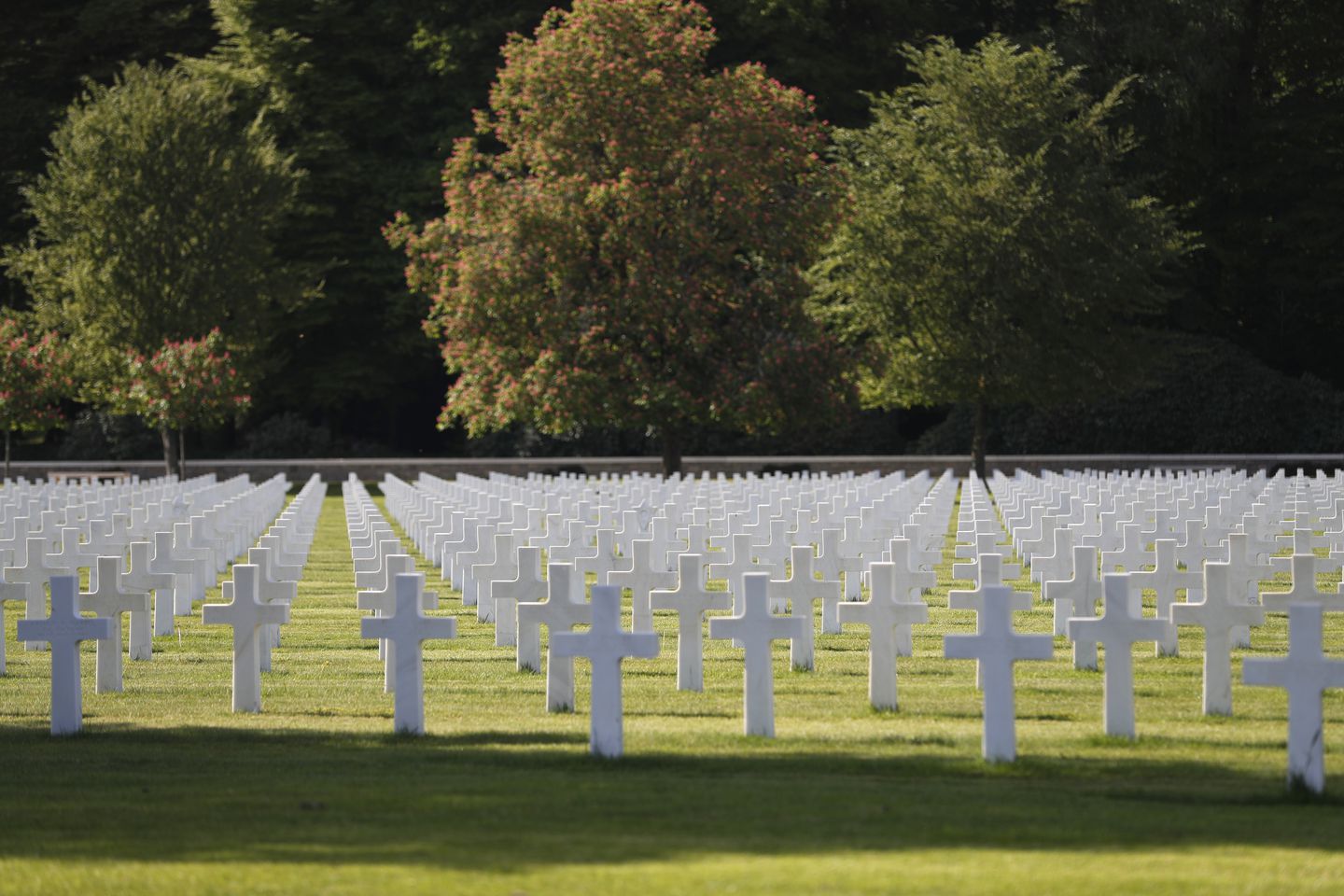 白宫医生下重要诊断，特朗普乐开了花：抓紧集会，我不传染还免疫