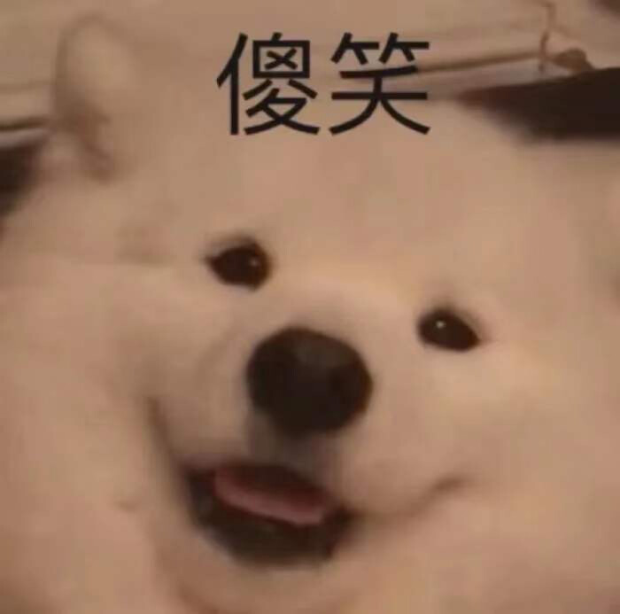 文案,搞笑
