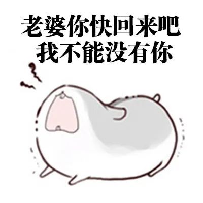 搞笑表情包想要这样会道歉的老公