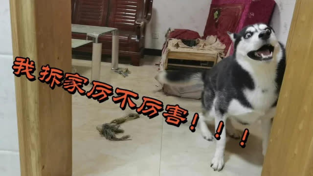 刮风门响是“闹鬼”还是真毛病？从业15年的维修师傅告诉你真相，几块钱就能解决