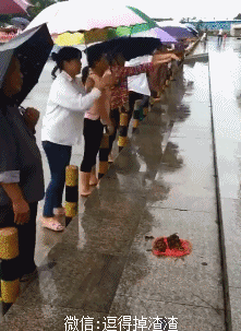 搞笑gif段子:大哥,你确定你能做到吗