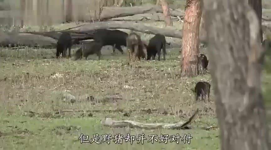 0?fmt=jpg&size=50&h=480&w=864&ppv=1