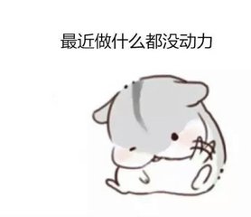 仓鼠表情包哥哥晚安mua