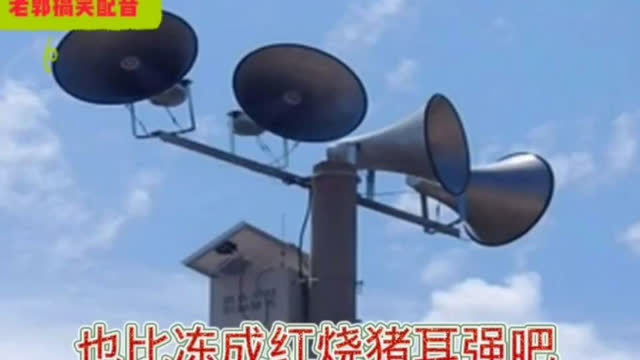 金喇叭恶搞视频，金喇叭是什么