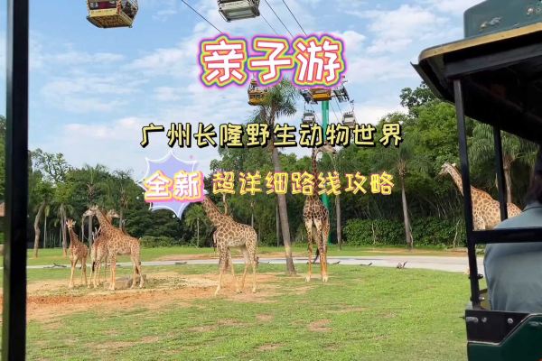 广州长隆动物园游玩攻略，广州长隆动物园游玩攻略路线