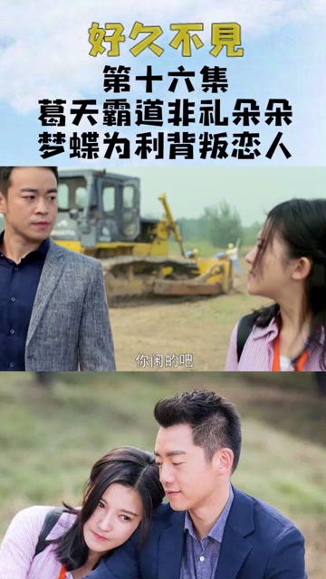 背叛 电视剧，背叛电视剧在线观看免费完整版