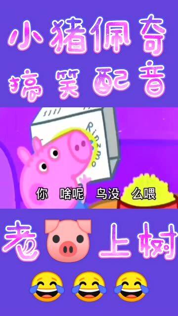 大仙恶搞小猪视频，大仙恶搞小猪视频大全
