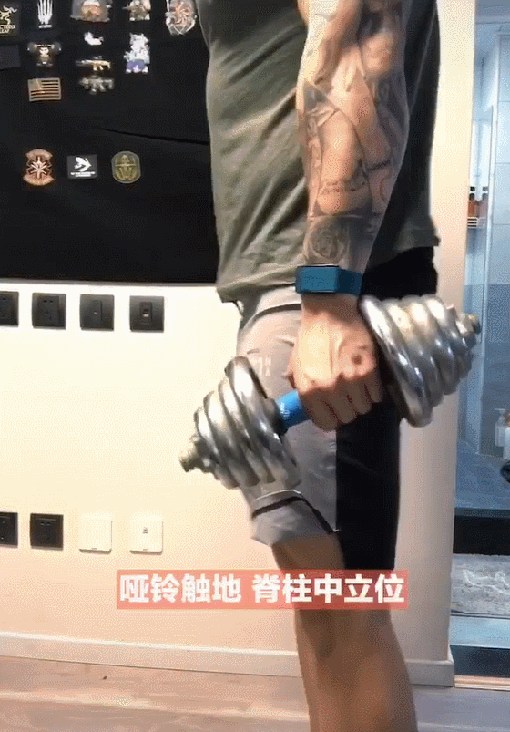 哑铃,肌肉,健身,锻炼