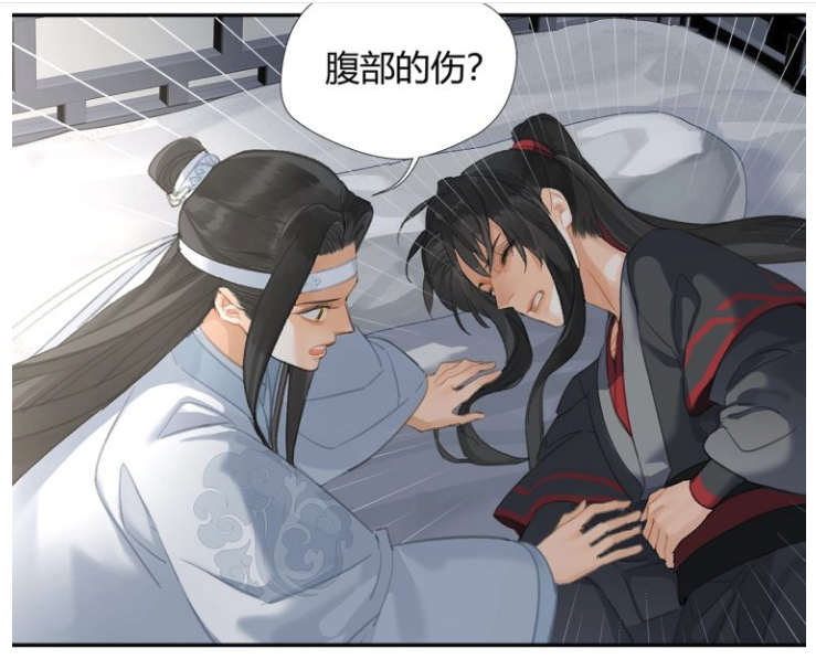 蓝湛,魏无羡,蓝忘机,魔道祖师,魏婴