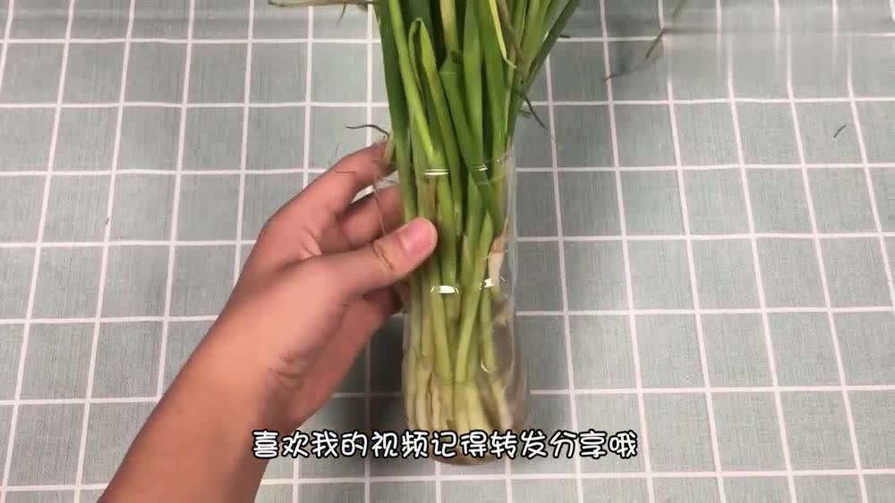 0?fmt=jpg&size=45&h=563&w=1000&ppv=1