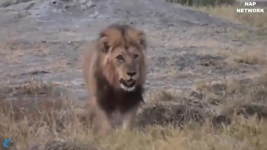 0?fmt=jpg&size=27&h=479&w=854&ppv=1