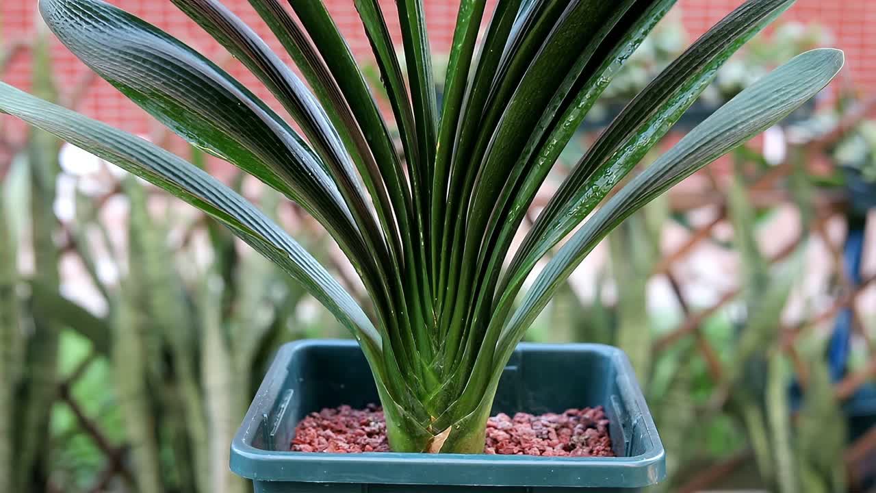 0?fmt=jpg&size=92&h=720&w=1280&ppv=1