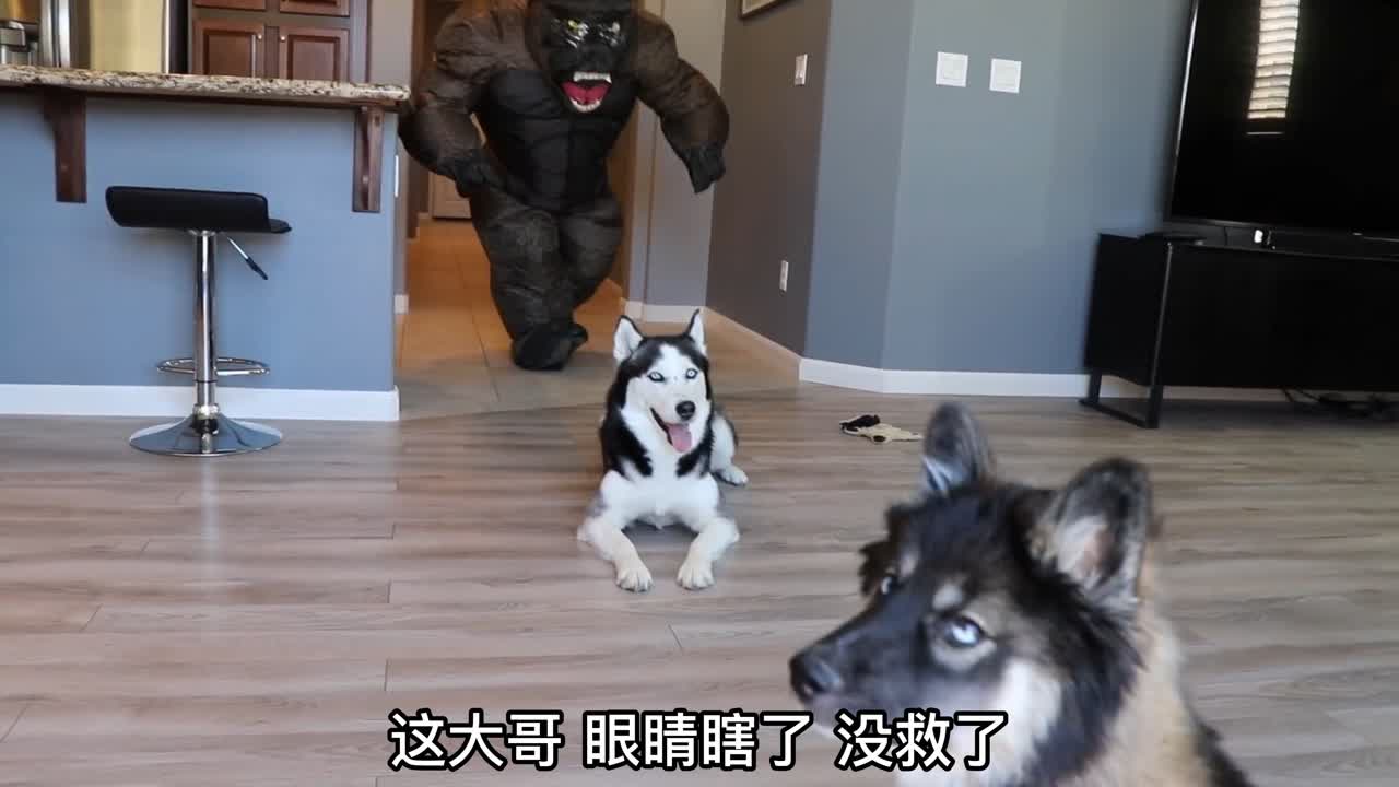 0?fmt=jpg&size=48&h=720&w=1280&ppv=1