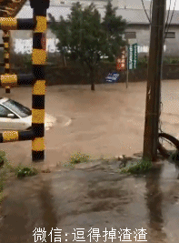 搞笑gif段子:回到家以为发生凶杀案了呢,不知道猫肉好不好吃