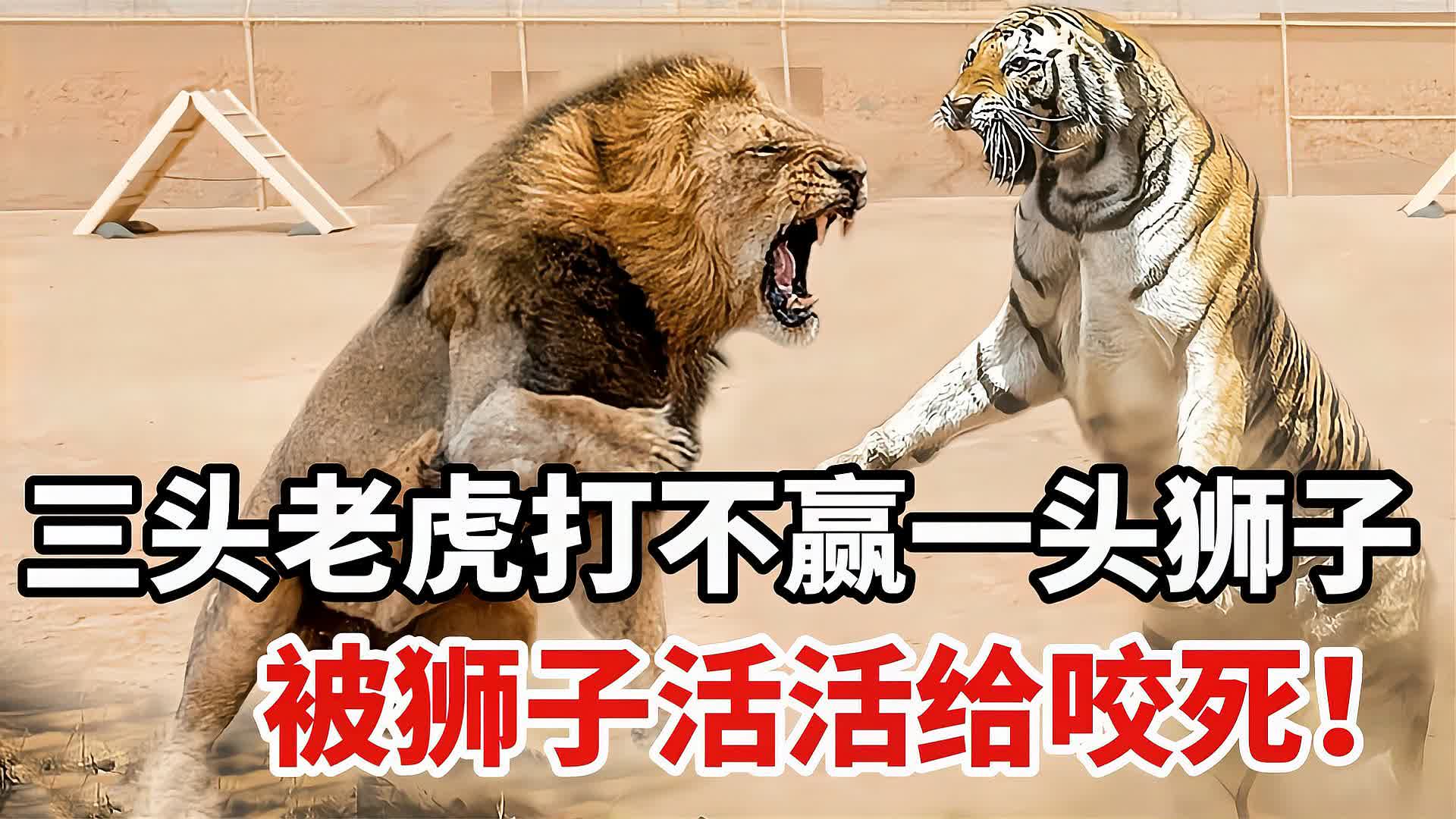 0?fmt=jpg&size=166&h=1080&w=1920&ppv=1