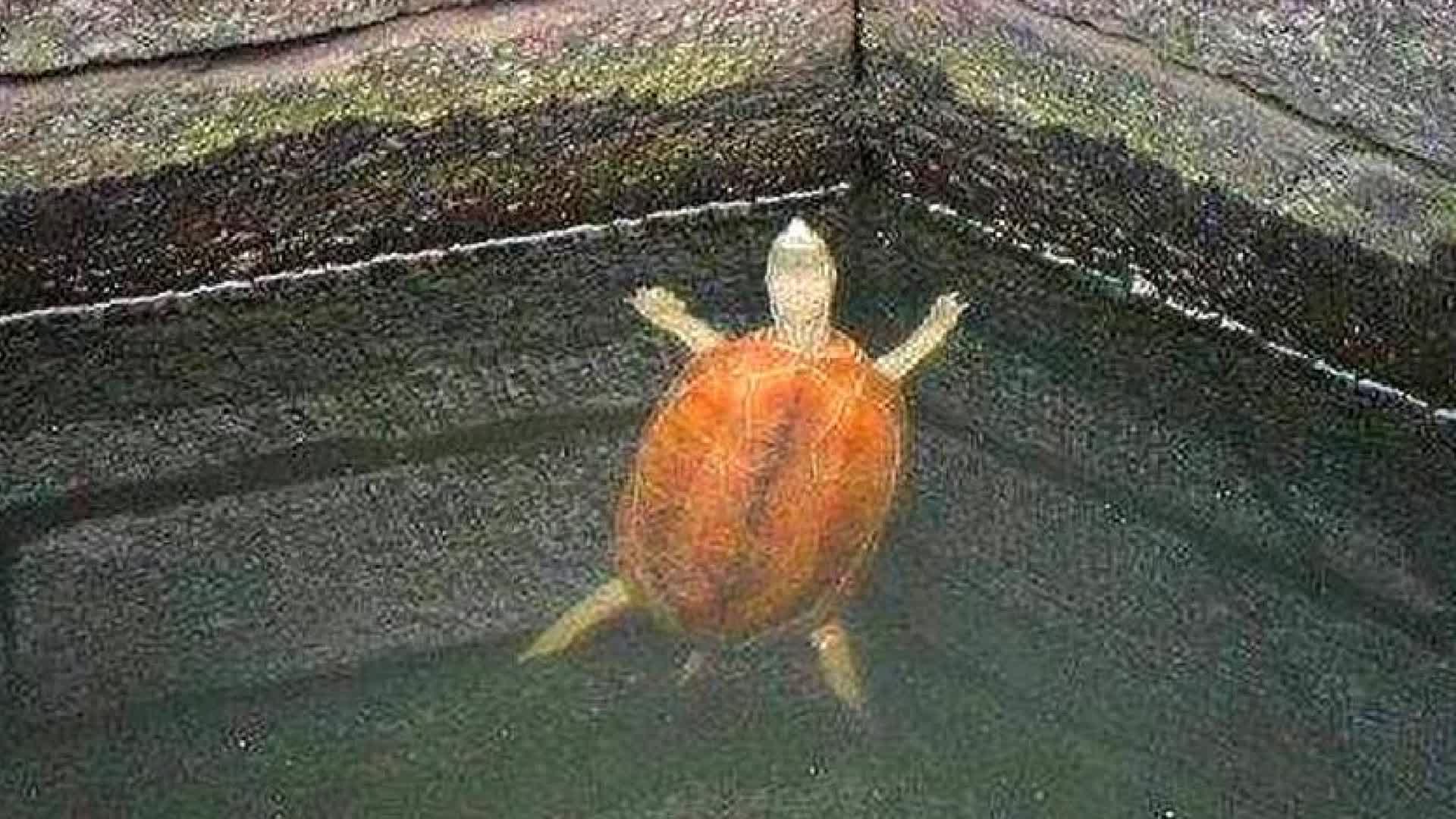 0?fmt=jpg&size=177&h=1080&w=1920&ppv=1