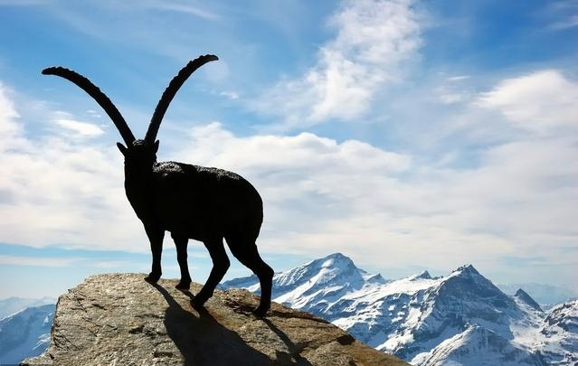 星座 血型 摩羯水瓶双鱼 看点快报