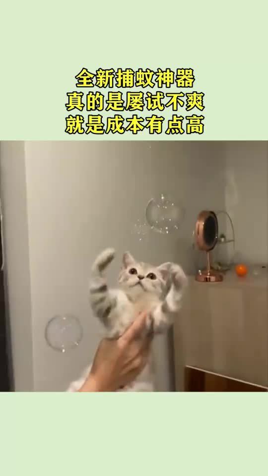 真是不爽