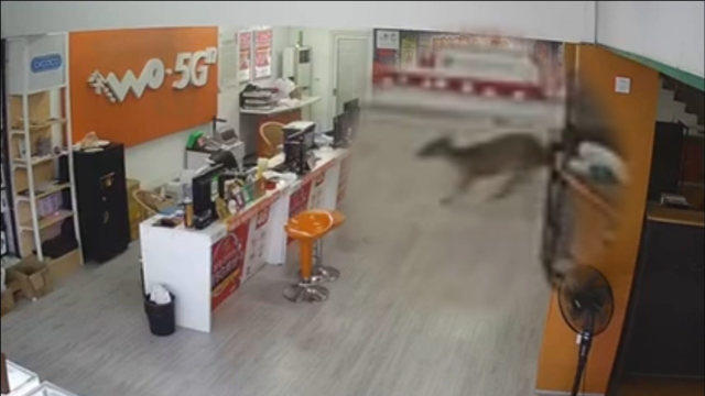 0