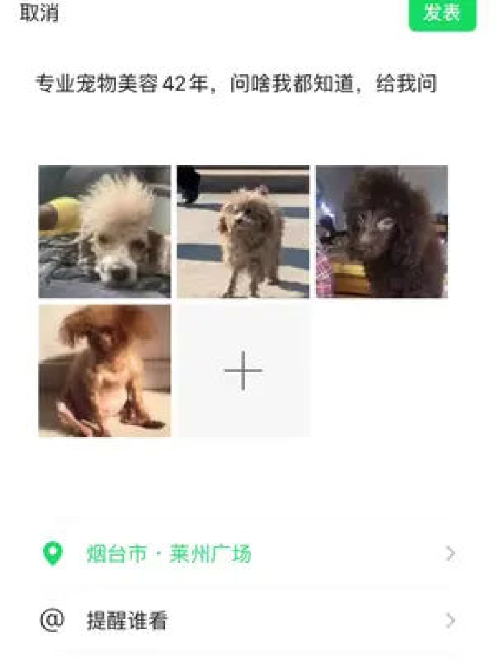 母狗照片恶搞视频，母狗照片恶搞视频大全