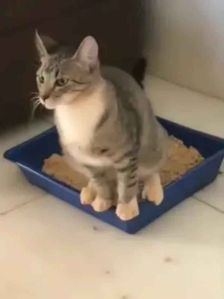 0