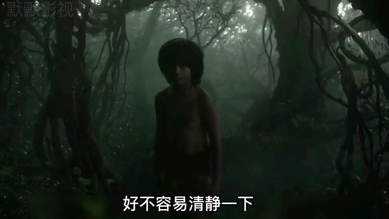 梦见被人追杀请高人解梦，探索梦境背后的深层含义与心理解析