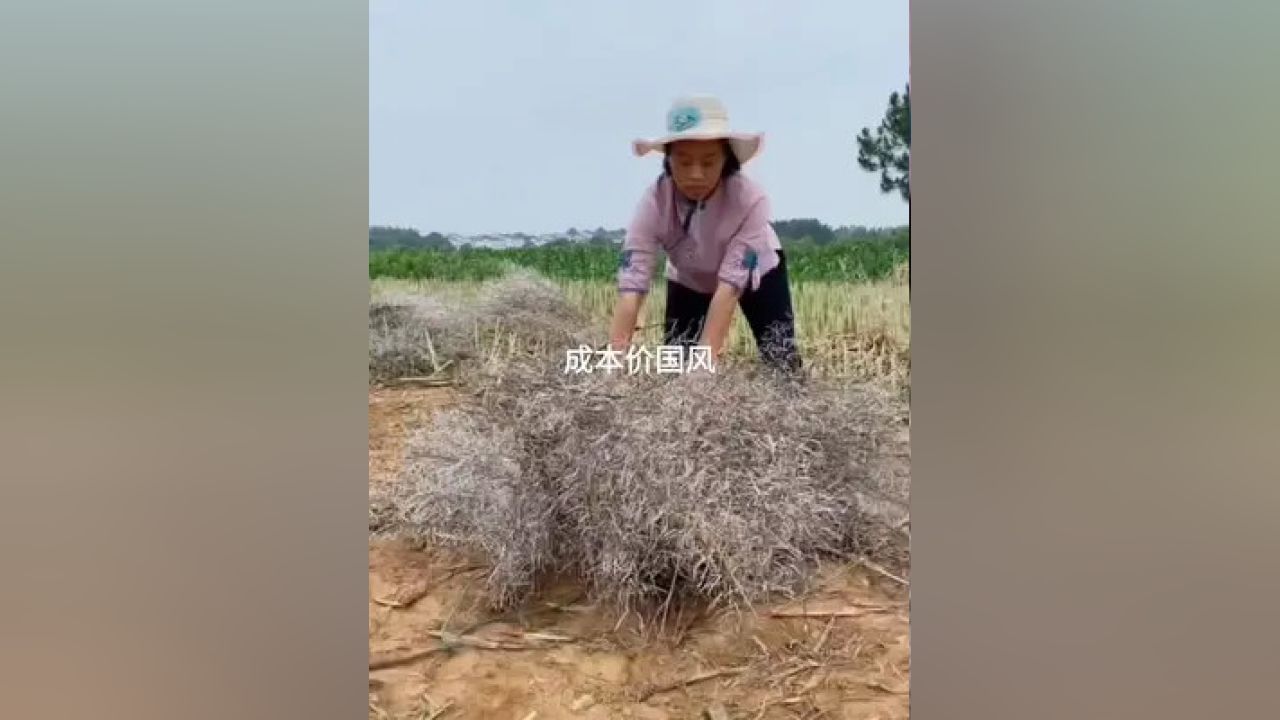 梦回乡野，解析测梦见东西掉进农村那种茅厕的深层寓意